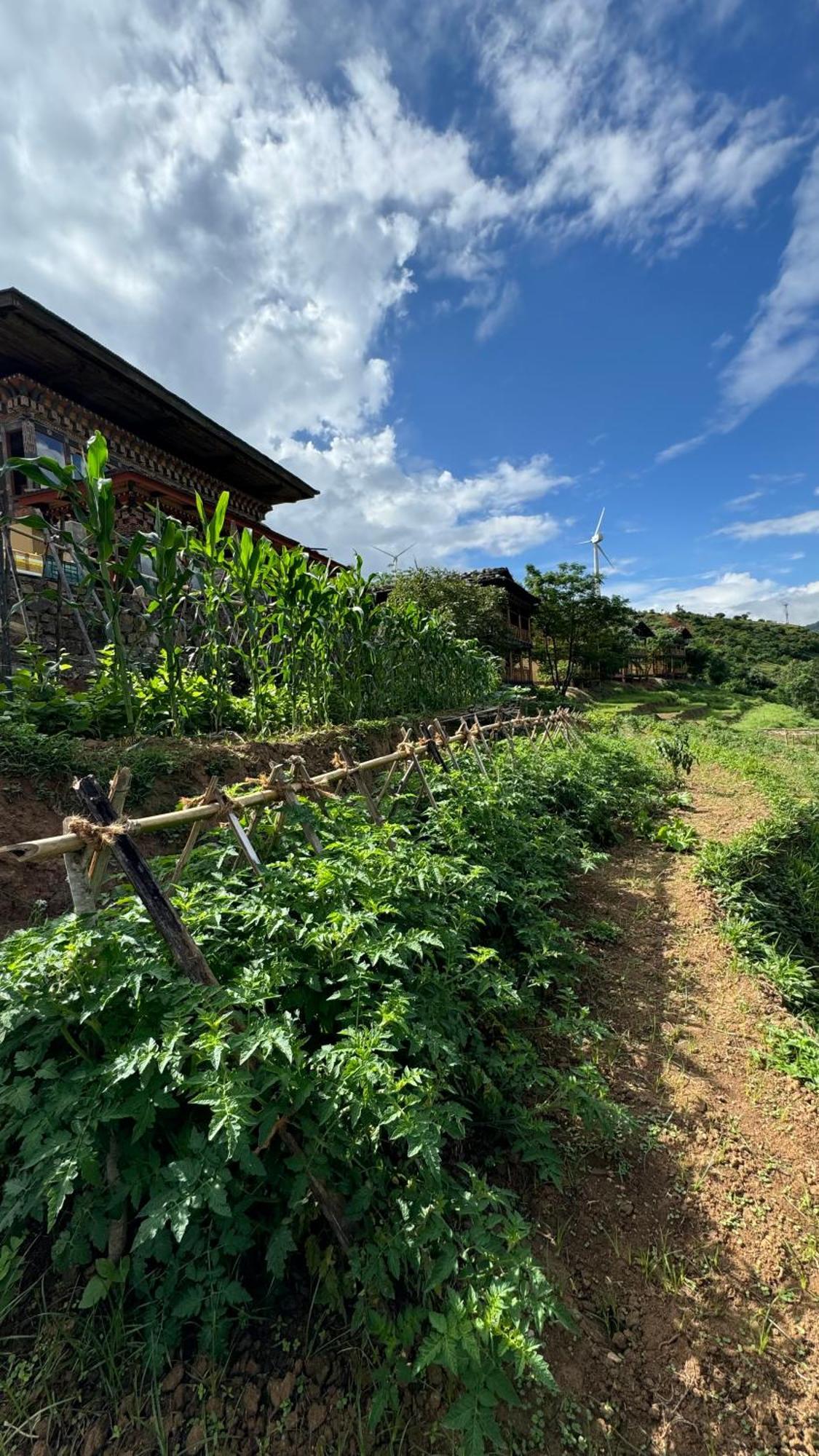 Wangdue Ecolodge Wangdue Phodrang Екстер'єр фото