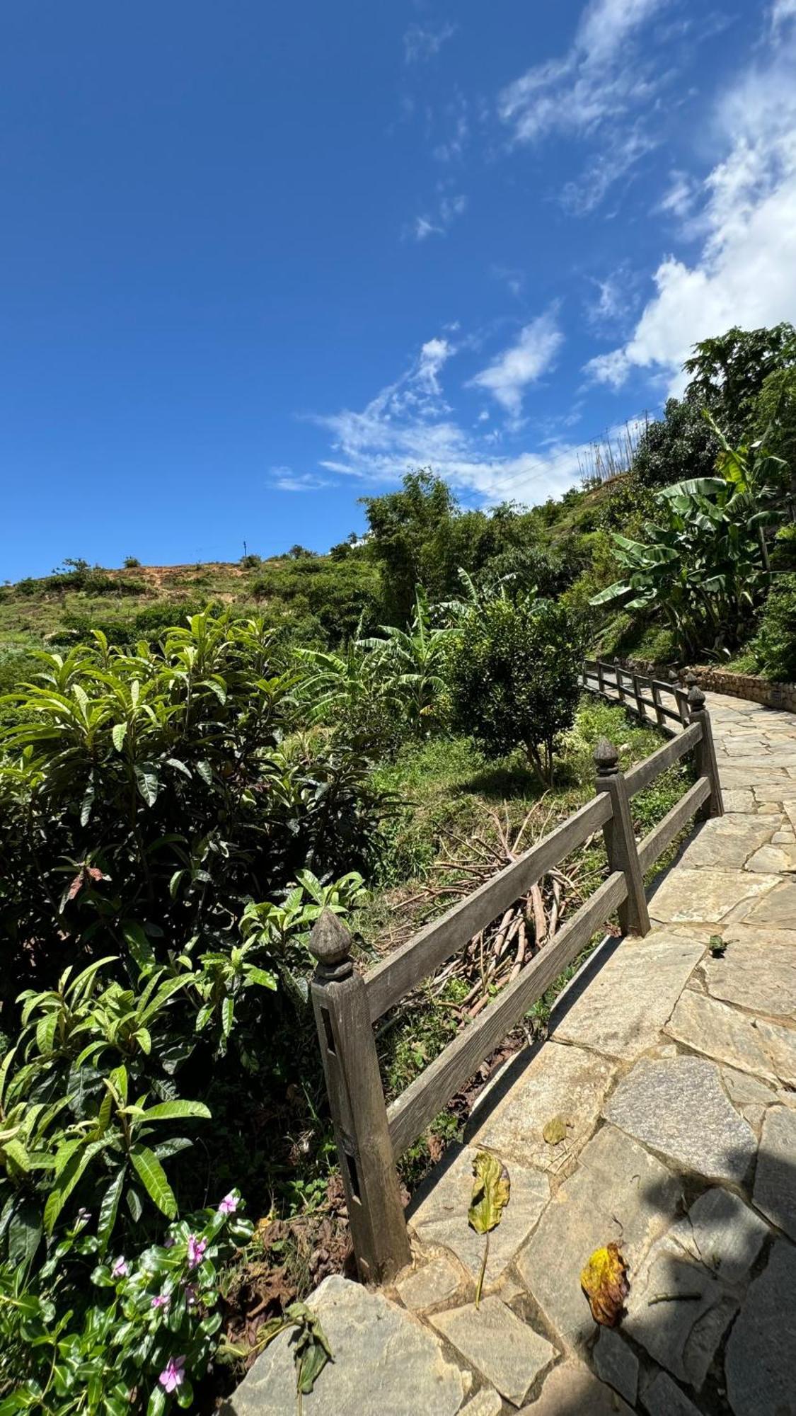 Wangdue Ecolodge Wangdue Phodrang Екстер'єр фото